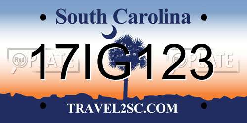 17IG123 South Carolina License Plate