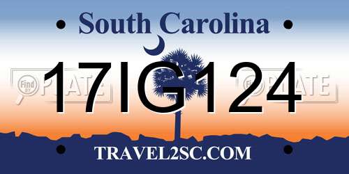 17IG124 South Carolina License Plate