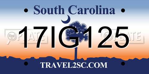 17IG125 South Carolina License Plate