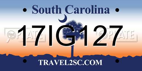 17IG127 South Carolina License Plate