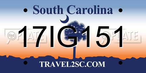 17IG151 South Carolina License Plate