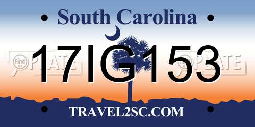 17IG153 South Carolina License Plate