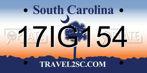 17IG154 South Carolina License Plate