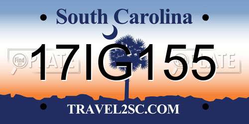 17IG155 South Carolina License Plate