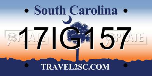 17IG157 South Carolina License Plate