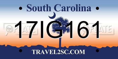 17IG161 South Carolina License Plate