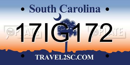 17IG172 South Carolina License Plate