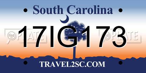 17IG173 South Carolina License Plate