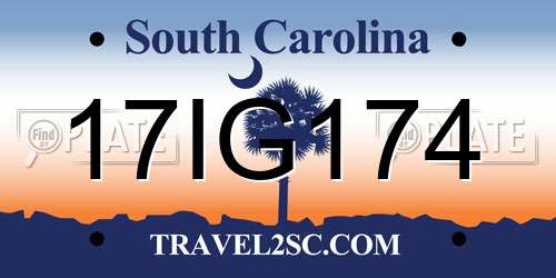 17IG174 South Carolina License Plate