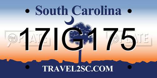 17IG175 South Carolina License Plate