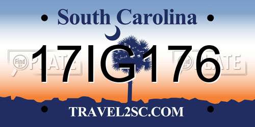 17IG176 South Carolina License Plate