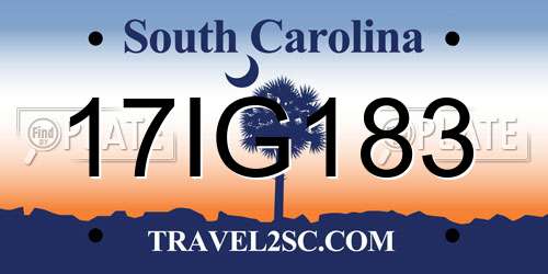 17IG183 South Carolina License Plate