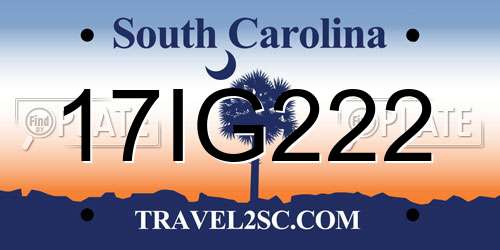 17IG222 South Carolina License Plate