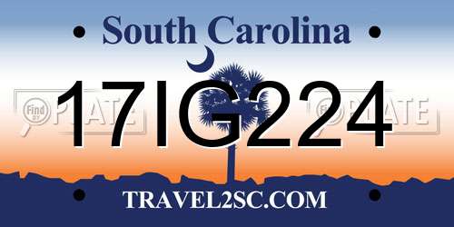 17IG224 South Carolina License Plate