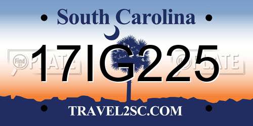 17IG225 South Carolina License Plate