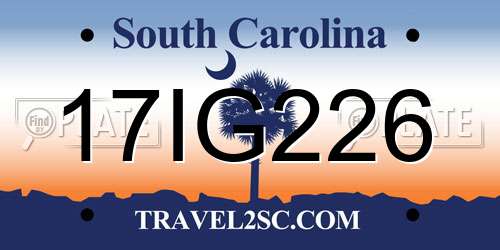 17IG226 South Carolina License Plate