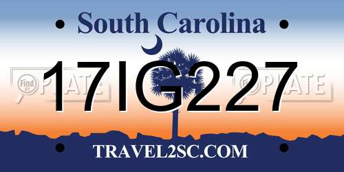 17IG227 South Carolina License Plate