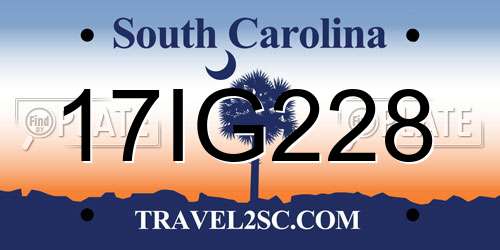 17IG228 South Carolina License Plate