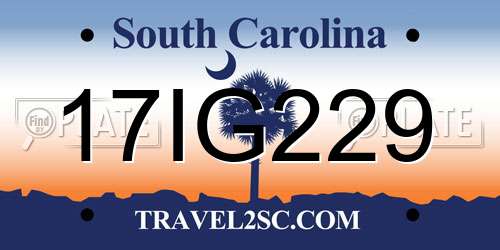 17IG229 South Carolina License Plate