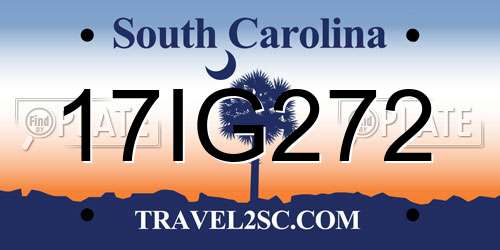 17IG272 South Carolina License Plate