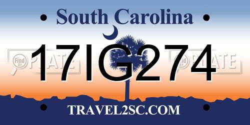 17IG274 South Carolina License Plate