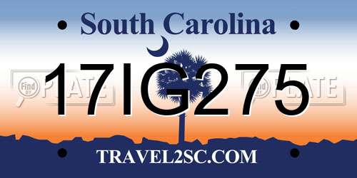 17IG275 South Carolina License Plate