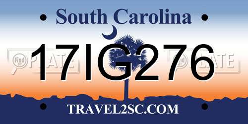 17IG276 South Carolina License Plate