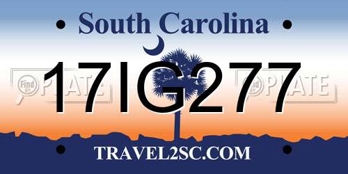 17IG277 South Carolina License Plate