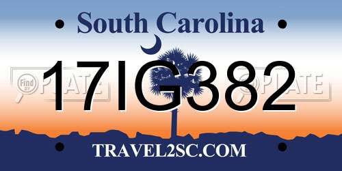 17IG382 South Carolina License Plate