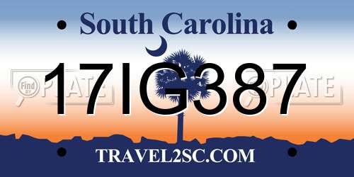 17IG387 South Carolina License Plate