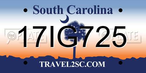 17IG725 South Carolina License Plate