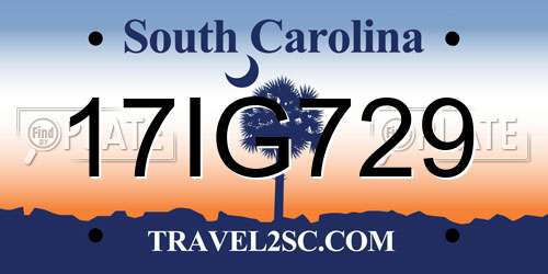 17IG729 South Carolina License Plate