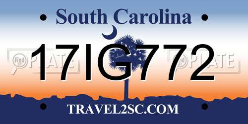 17IG772 South Carolina License Plate