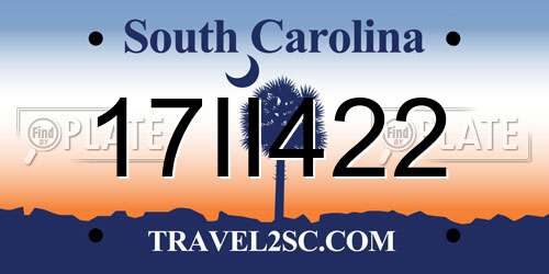 17II422 South Carolina License Plate