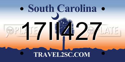 17II427 South Carolina License Plate
