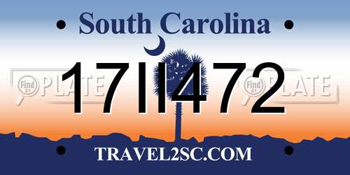 17II472 South Carolina License Plate