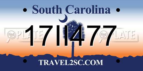 17II477 South Carolina License Plate