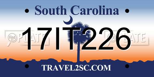 17IT226 South Carolina License Plate