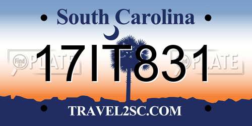 17IT831 South Carolina License Plate