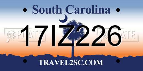 17IZ226 South Carolina License Plate