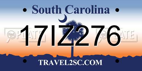 17IZ276 South Carolina License Plate