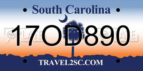 17OD890 South Carolina License Plate