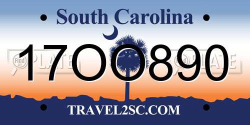 17OO890 South Carolina License Plate