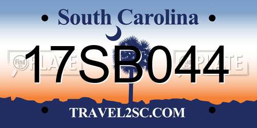 17SB044 South Carolina License Plate