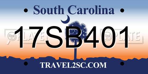 17SB401 South Carolina License Plate