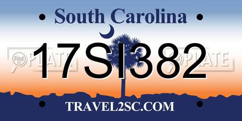17SI382 South Carolina License Plate