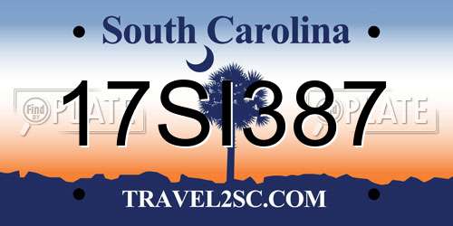 17SI387 South Carolina License Plate