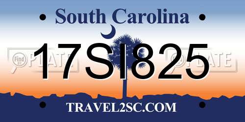 17SI825 South Carolina License Plate