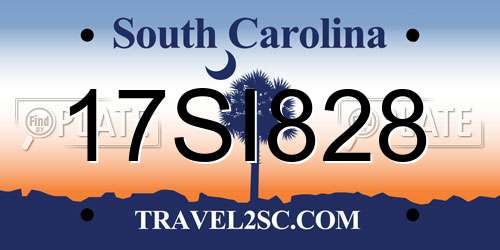 17SI828 South Carolina License Plate