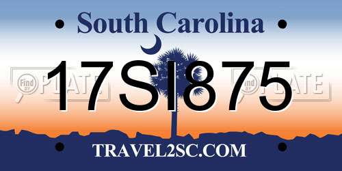 17SI875 South Carolina License Plate
